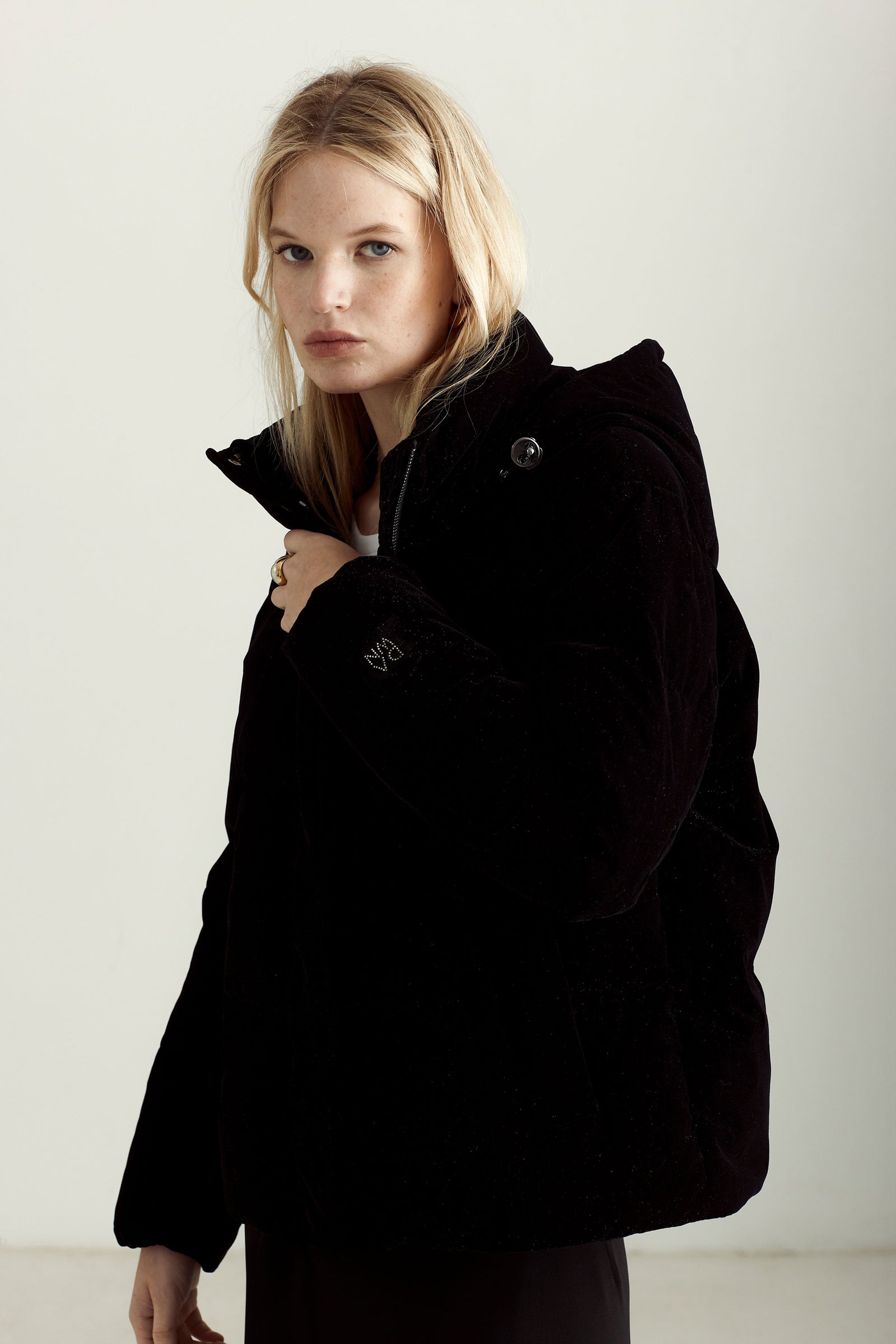 CHICAGO - BLACK VELVET – Dawn Levy - Official Website