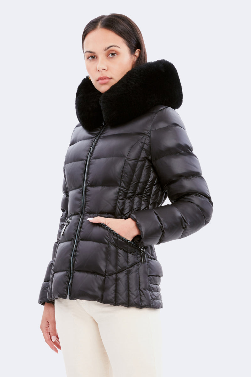 Nikki Shearling – Dawn Levy Official Website