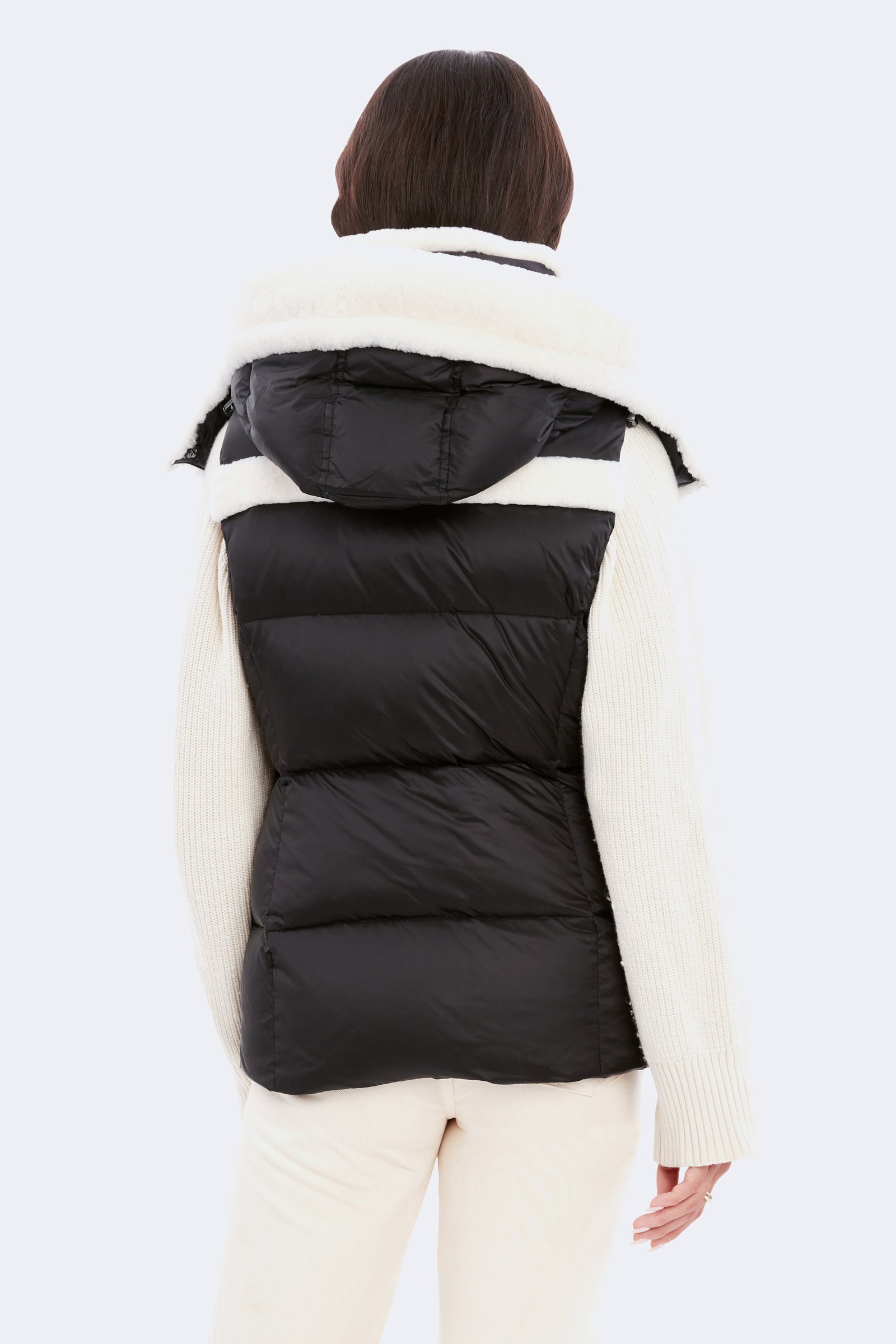 Evelynn – Dawn Levy - Official Website